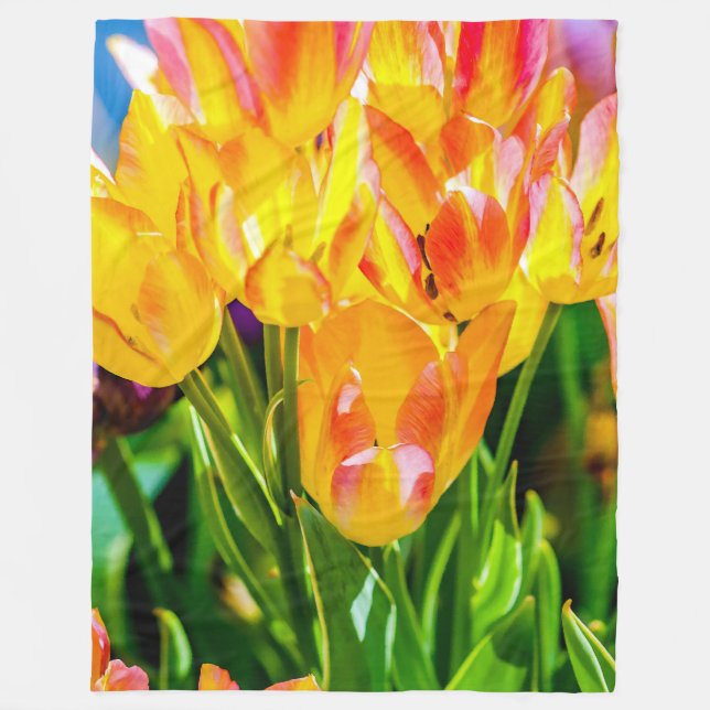 Tulips Enchanting Lila Fleecefilt (Framsidan)