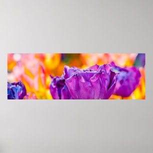 Tulips Enchanting Lila Poster