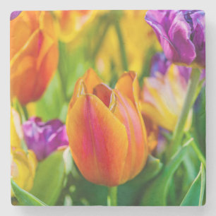 Tulips Enchanting Underlägg Sten