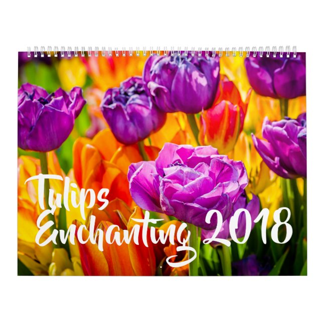 Tulips Enchanting-vacker Kalender (Omslag)