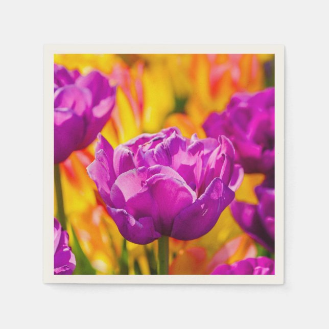 Tulips Enchanting Violet Pappersservett (Framsidan)