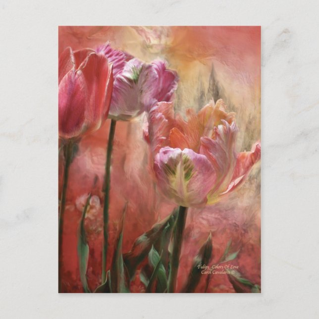 Tulips Färger i Kärlek Art-vykort Vykort (Framsida)