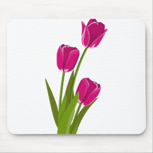 Tulips Flowers Musmatta