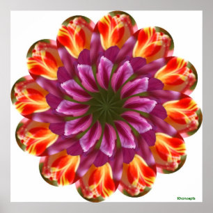 Tulips för lila, rött och Gult Poster