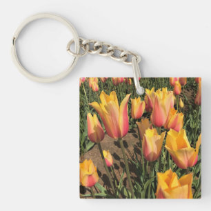 Tulips för rosa och Gult