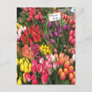 Tulips for Sale NYC Flowers Corner Bodega Photo Vykort