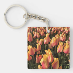 Tulips för söt Rosa och Gult