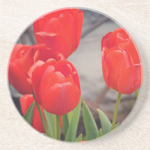 Tulips från förra vår. Drömmer om vår. Underlägg