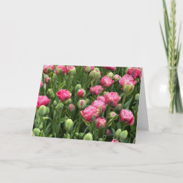 Tulips Galore Blank Greeting Card Kort