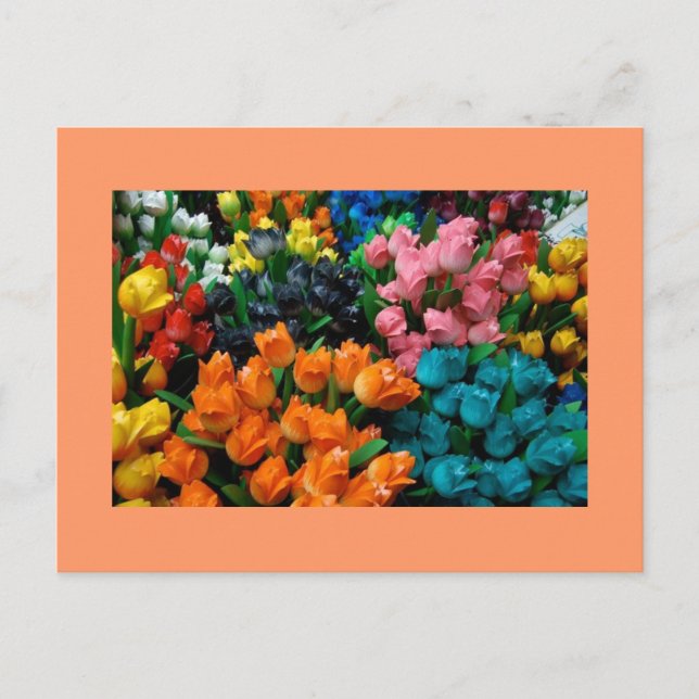 Tulips Galore Vykort (Framsida)