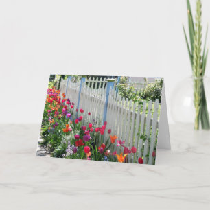 Tulips Garden Along White Picket Fence Photo Kort