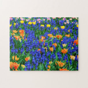 Tulips Grape Hyacint Flower Fält Colorour Pussel
