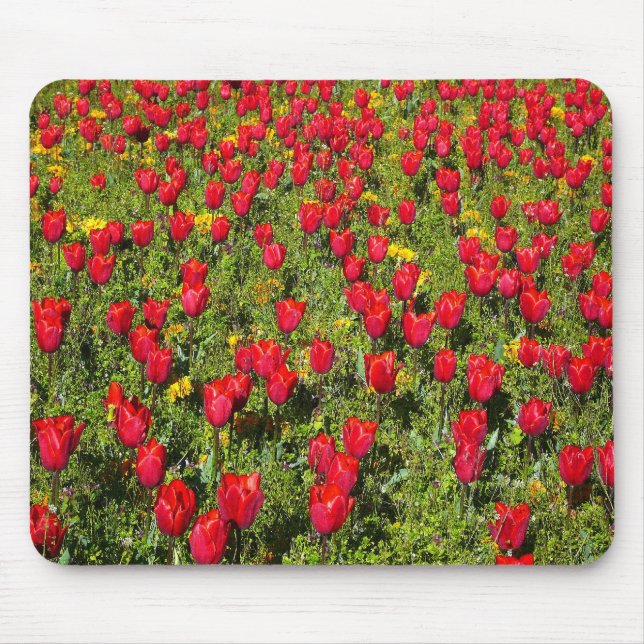 Tulips i bed musmatta (Framsidan)