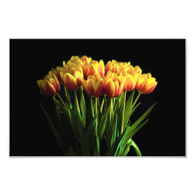 Tulips i Flower Vas Fototryck (Framsidan)