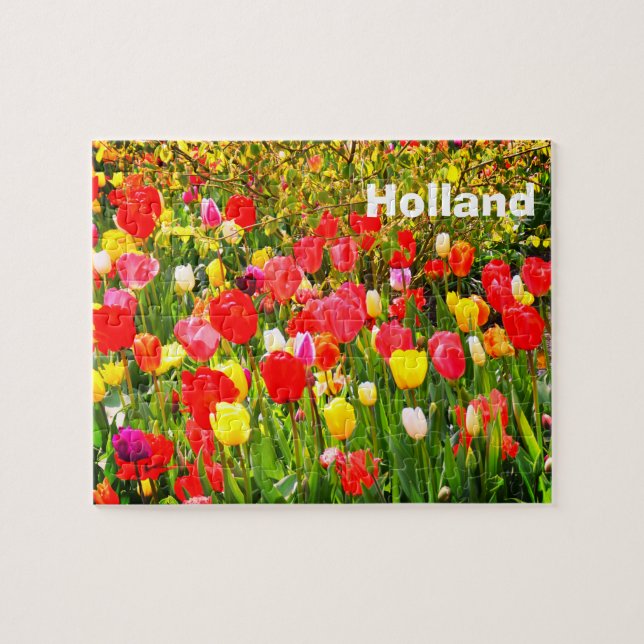 Tulips i Nederländerna Pussel (Horisontell)
