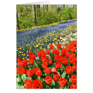 Tulips i skogsmark hälsningskort