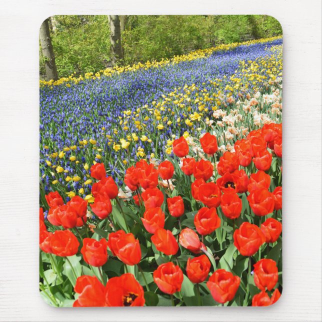 Tulips i skogsmark musmatta (Framsidan)