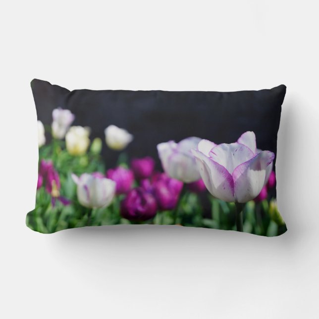 Tulips i Vår Lumbarkudde (Framsida)