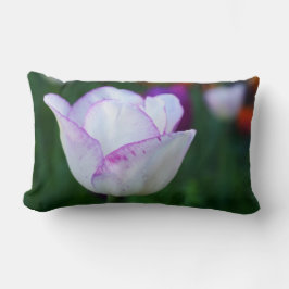 Tulips i Vår Lumbarkudde