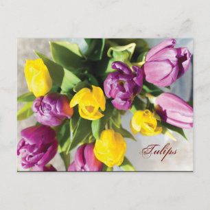 Tulips i Vår Vykort