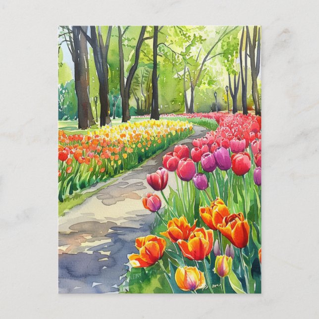 Tulips in The Park Vykort (Framsida)