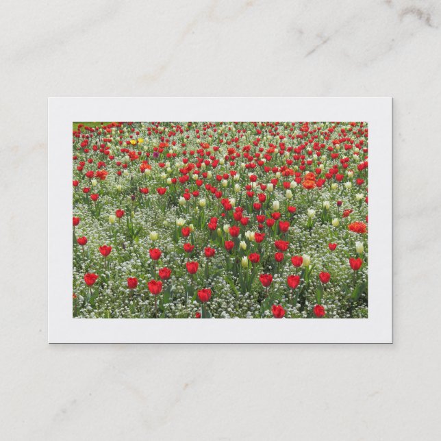 Tulips (kantad) visitkort (Framsida)