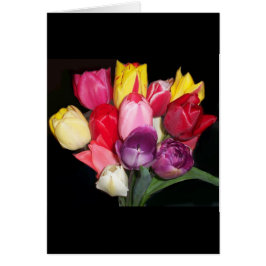 Tulips-kort Hälsningskort