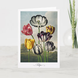 Tulips — Modern Botanical Reinterpretation Kort