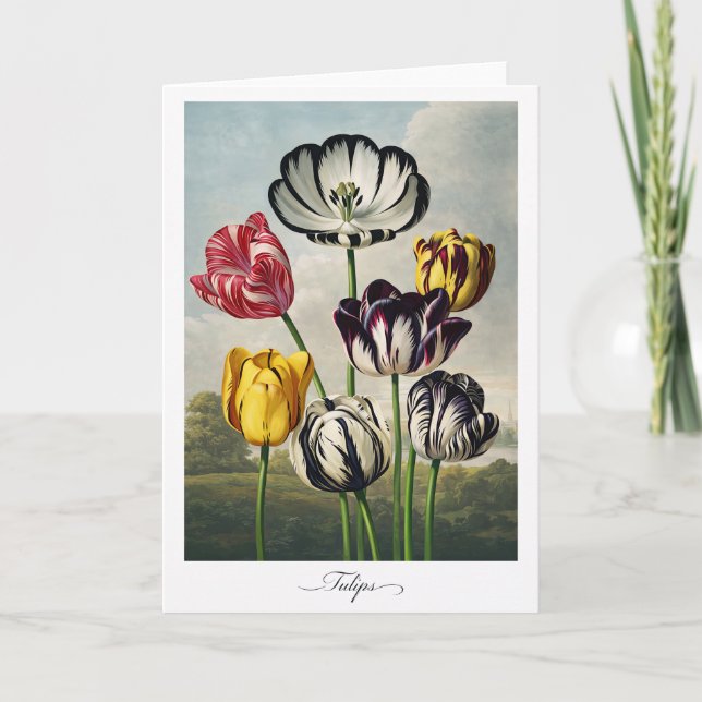 Tulips — Modern Botanical Reinterpretation Kort (Framsida)