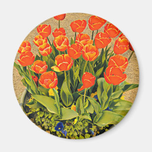 Tulips moderna blomsterfestival för blommigt magnet