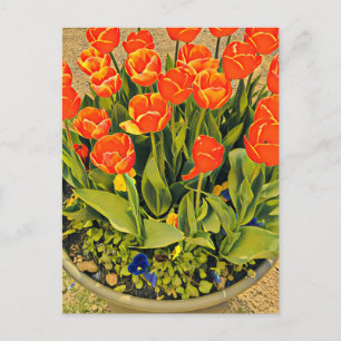 Tulips moderna blomsterfestival för blommigt vykort