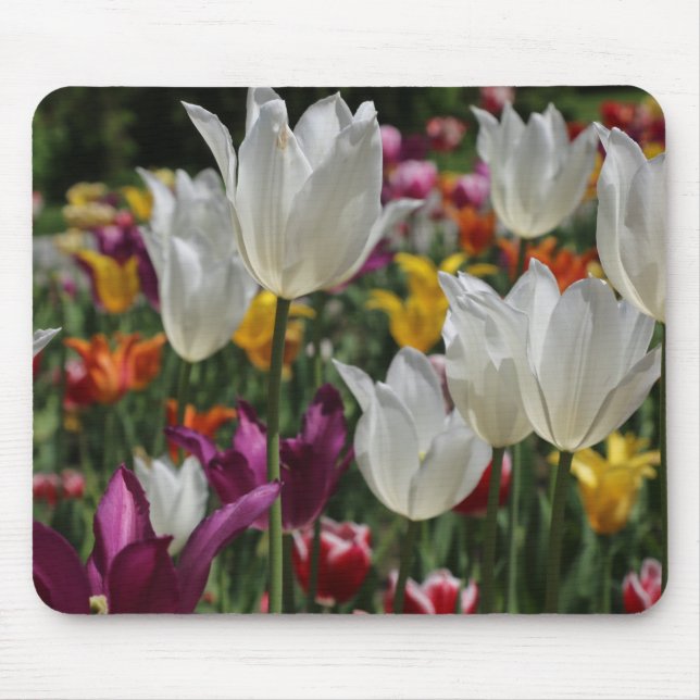 Tulips Mousepad Musmatta (Framsidan)