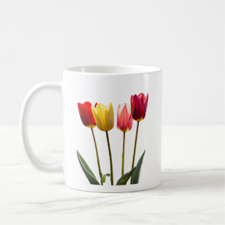 TULIP'S MUGG