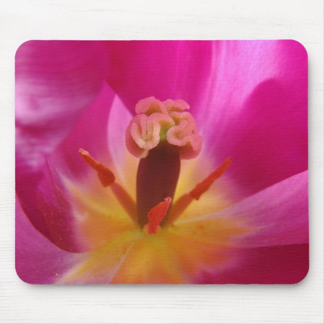 TULIPS MUSMATTOR Rosa Tulpan Blommor MUS MATTA (Framsidan)