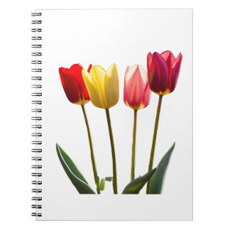 TULIP'S NOTEBOOK ANTECKNINGSBOK