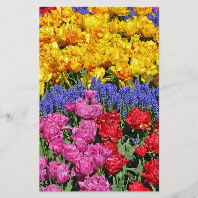 Tulips- och muskarmiblommor (Framsida)