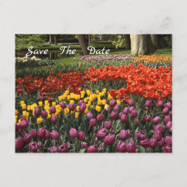 Tulips Spara datum meddelande vykort