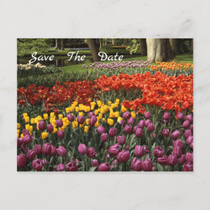 Tulips Spara datum meddelande vykort
