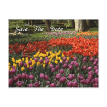Tulips Spara datum meddelande vykort
