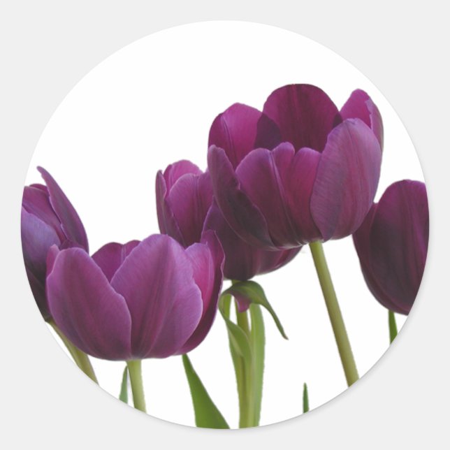 Tulips Sticker Runt Klistermärke (Framsida)