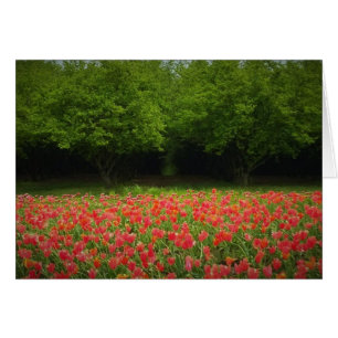 Tulips & Träd Hälsningskort