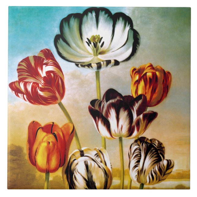 Tulips under himlar-plattan kakelplatta (Framsidan)