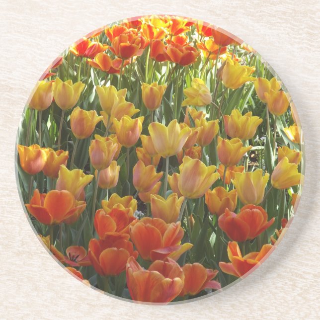 Tulips underlägg (Framsidan)