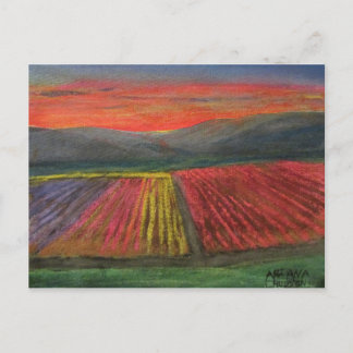 Tulips Valley Vykort
