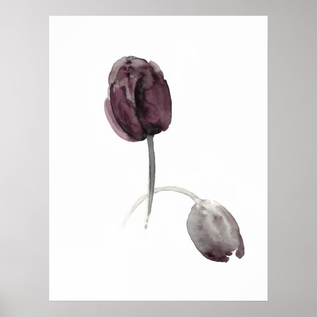 Tulips vit poster lila blommor (Framsidan)