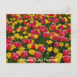 Tulips. Vykort