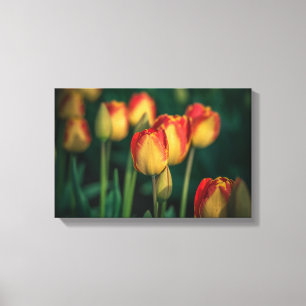 Tulips Wrapped Canvas