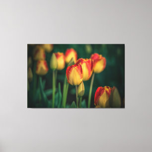 Tulips Wrapped Canvas