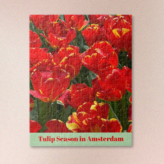 Tulipsäsong i Amsterdam Pussel