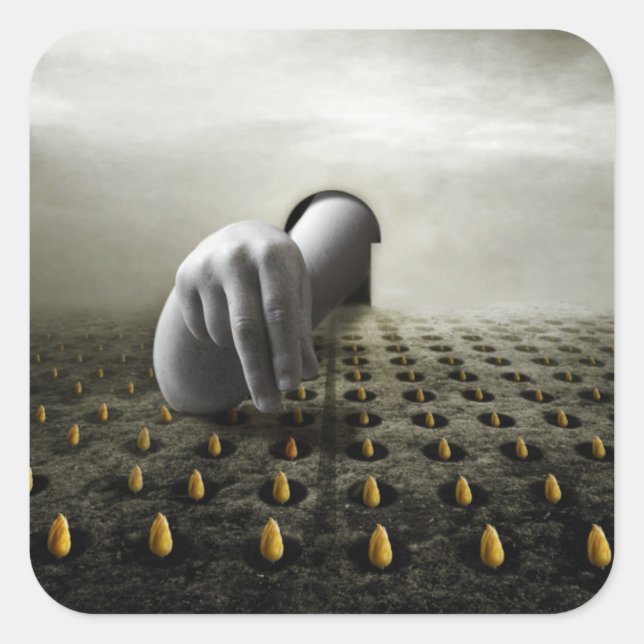 Tuliptjuv 2013 fyrkantigt klistermärke (Framsida)